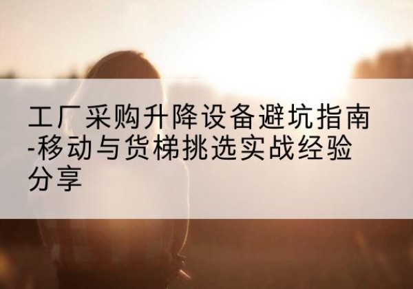 武宁移动式升降机怎么选-工厂采购升降设备避坑指南-移动与货梯挑选实战经验分享