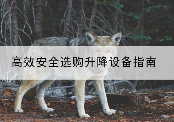 武宁升降货梯厂家推荐-*安全选购升降设备指南