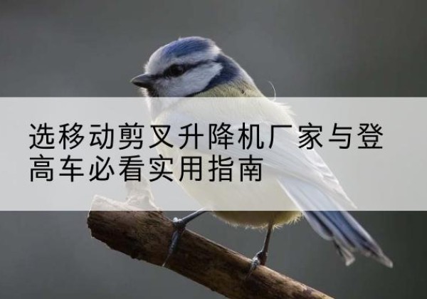 武宁电动升降机厂家-选移动剪叉升降机厂家与登高车必看实用指南