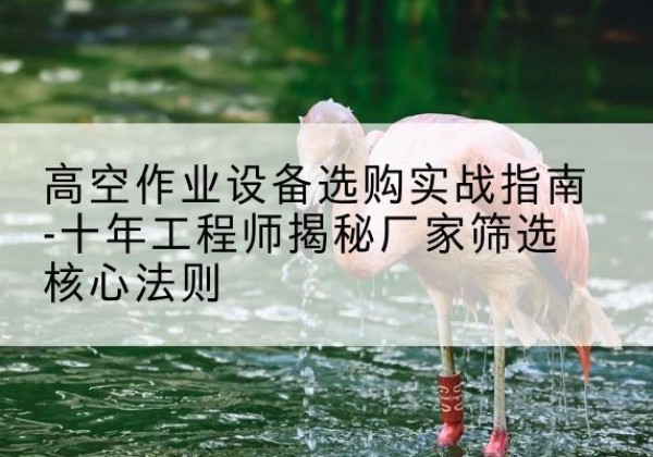 武宁剪叉式升降机厂家-高空作业设备选购实战指南-十年工程师揭秘厂家筛选核心法则