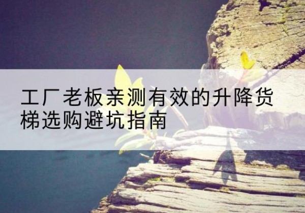 武宁升降货梯怎么选-工厂老板亲测有效的升降货梯选购避坑指南